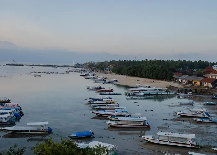 Dava Ocean View 2*
